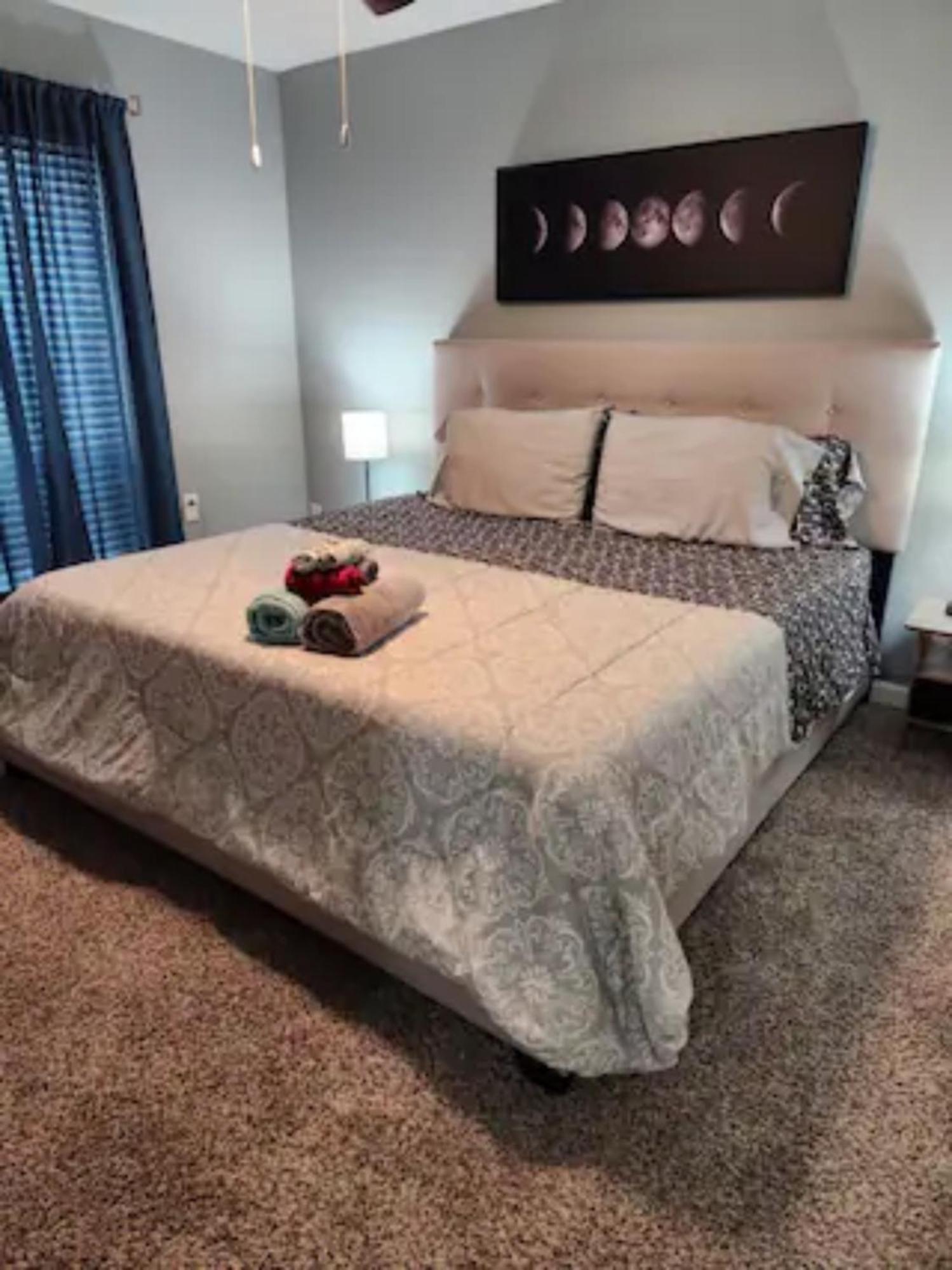 Blue Shark *B501* @ Medical Center 1Br Modern King Apartment With Private Patio Houston Exteriér fotografie